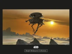 Komar Wandbild Star Wars Droid 40 x 30 cm