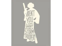 Komar Wandbild Star Wars Leia 40 x 50 cm gerollt