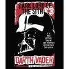 Komar Wandbild Star Wars Darth Vader The Chosen One 40 cm x 50 cm Rot* Poster
