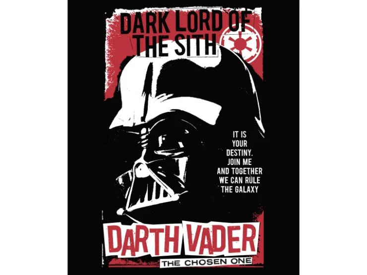 Komar Wandbild Star Wars Darth Vader The Chosen One 40 cm x 50 cm Rot* Poster