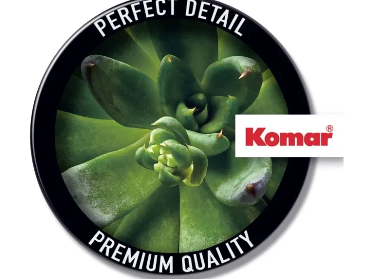 Komar Wandbild Succulent Single 40 cm x 50 cm