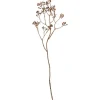 Kunstpflanze Beeren Desert Flower 80 cm* Kommode|Sideboards