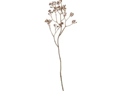 Kunstpflanze Beeren Desert Flower 80 cm* Kommode|Sideboards