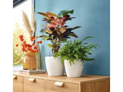 Lechuza ® Pflanzgefäß Classico Color 18 Ø 18 cm* Regal Weiß