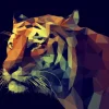 Pro Art Leinwandbild Colourful Tiger 84 cm x 116 cm