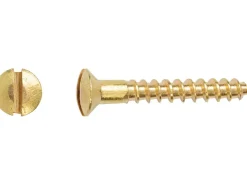Linsensenkkopf Holzschraube Schlitz-Antrieb Ø 2,5 mm x 16 mm 25 Stück* Holzregale
