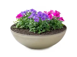 matches21 HOME&HOBBY Pflanzschale für Draussen in Champagner Beige 25 x 9 cm* Vogeltränken