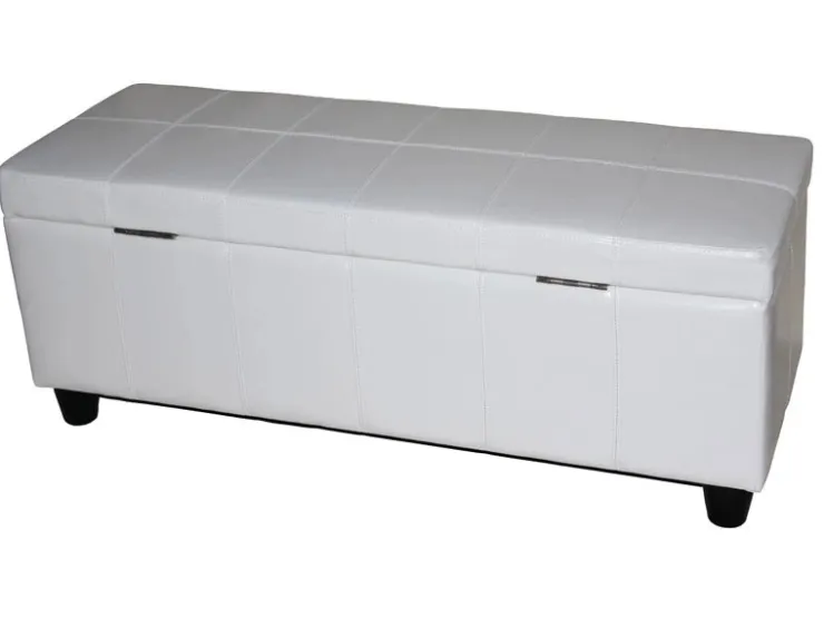 MCW Aufbewahrungs-Truhe Kriens Leder/Kunstleder 112x45x45cm