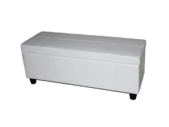 MCW Aufbewahrungs-Truhe Kriens Leder/Kunstleder 112x45x45cm