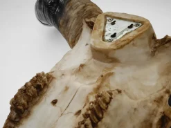 MCW Deko Schädel 45cm T454 Stier Naturfarben* Dekorative Figuren