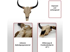 MCW Deko Schädel Longhorn Natur