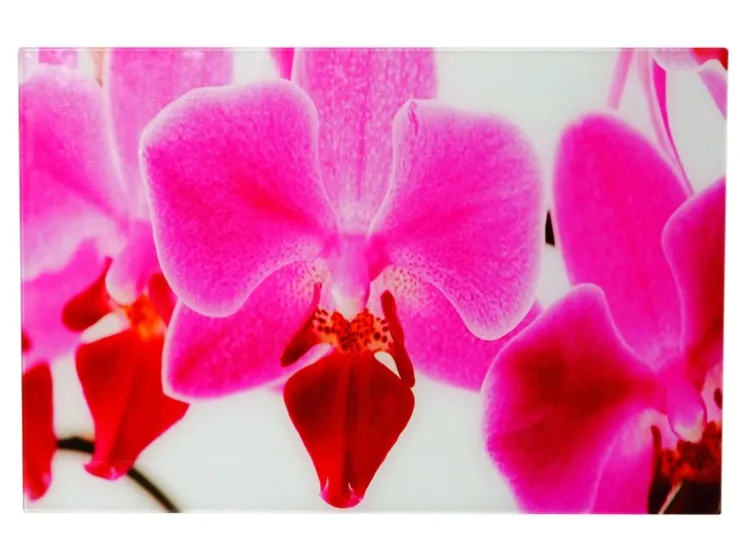 MCW Glasbild T117 40x60cm Orchidee