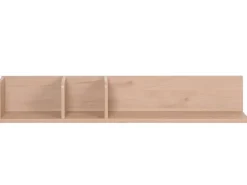 MCW Wandregal M48 20x120x21cm