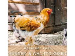 MeineHennen KÜKEN VITAL 30 Kg Premium Kükenfutter Kükenmischung mit Hirse und Leinsamenöl Alleinfuttermittel
