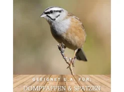 MeinWildvogel WILDVOGEL VITAL BASIC 15 Kg Vogelfutter Streufutter für Vögel Ganzjahresfutter und Perfekt für Kleine und Große Gartenvögel* Vogelbedarf