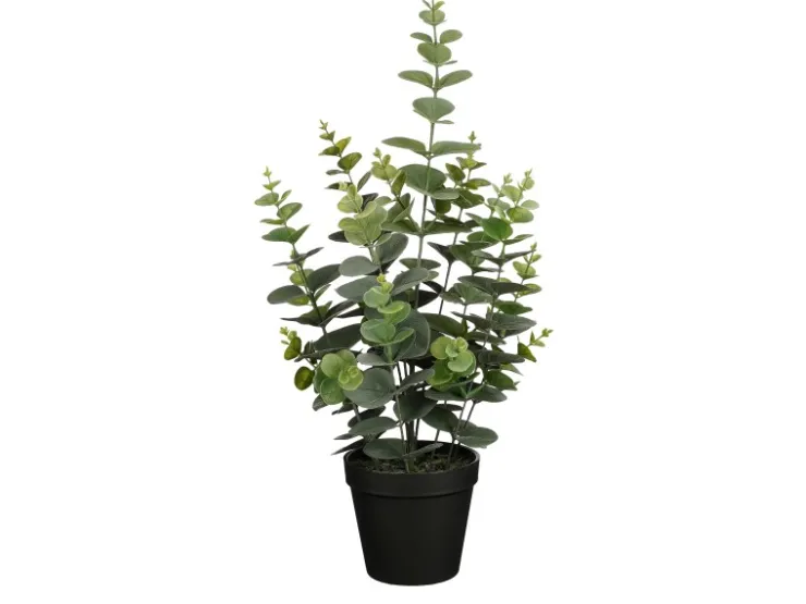 Mica Decorations Eucalyptus im Topf Grün 53 Ø 23 cm* Kunstpflanzen