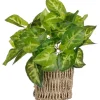 Mica Decorations Kunstpflanze Scindapsus im Korb Ø 12 cm x 33 cm* Ostern
