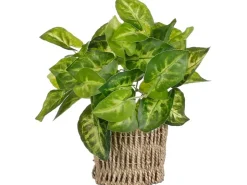 Mica Decorations Kunstpflanze Scindapsus im Korb Ø 12 cm x 33 cm* Ostern