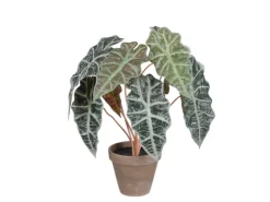 Mica Decorations Kunstpflanze Alocasia im Blumentopf Stan Ø 36 cm x 44 cm Grün