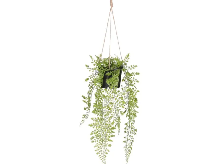 Mica Decorations Kunstpflanze Adiantum Hängend in Topf 47 cm x 20 cm Grün