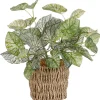 Mica Decorations Kunstpflanze Begonie im Korb Ø 12 cm x 33 cm* Kommode|Ostern