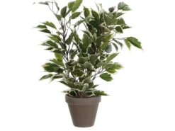 Mica Decorations Kunstpflanze Ficus Natasja in Topf Grün-Weiß H 40 cm, Ø: 30 cm* Kommode|Sideboards