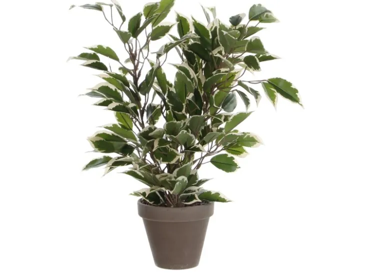 Mica Decorations Kunstpflanze Ficus Natasja in Topf Grün-Weiß H 40 cm, Ø: 30 cm* Kommode|Sideboards
