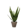 Mica Decorations Kunstpflanze Aloe Vera im Blumentopf Stan Ø 16 cm x 30 cm Grün* Kunstpflanzen