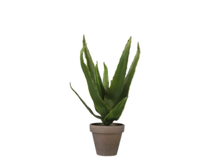 Mica Decorations Kunstpflanze Aloe Vera im Blumentopf Stan Ø 16 cm x 30 cm Grün* Kunstpflanzen