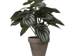 Mica Decorations Kunstpflanze Peperomia Blumentopf Stan Ø 23 x 24 cm* Kunstpflanzen