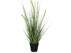 Mica Decorations Kunstpflanze Gras Dogtail im Topf Ø 30 cm x 53 cm* Kunstpflanzen