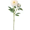 Mica Decorations Peonie Lachs 58 cm