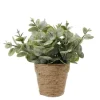 MICA Kunstpflanze Eucalyptus in Topf 20 cm x Ø 15 cm Grün* Kunstpflanzen