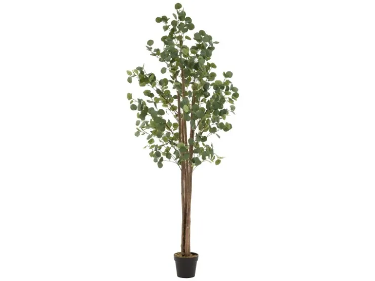 ML-Design Künstliche Eukalyptus 210cm Groß Kunstpflanze Naturholzstamm* Kunstpflanzen