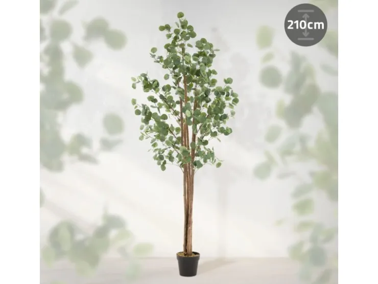 ML-Design Künstliche Eukalyptus 210cm Groß Kunstpflanze Naturholzstamm* Kunstpflanzen