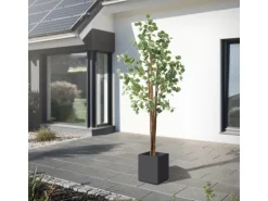 ML-Design Künstliche Eukalyptus 210cm Groß Kunstpflanze Naturholzstamm* Kunstpflanzen
