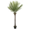 ML-Design Künstliche Palme 150 cm Groß Tropische Kunstpalme im Topf