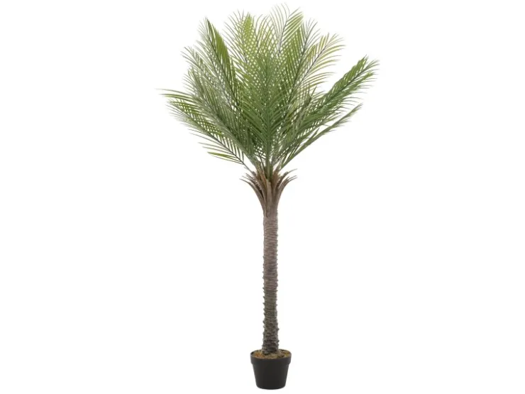 ML-Design Künstliche Palme 150 cm Groß Tropische Kunstpalme im Topf