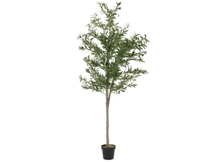 ML-Design Künstlicher Olivenbaum im Topf 210cm Groß mit Naturholzstamm* Kunstpflanzen