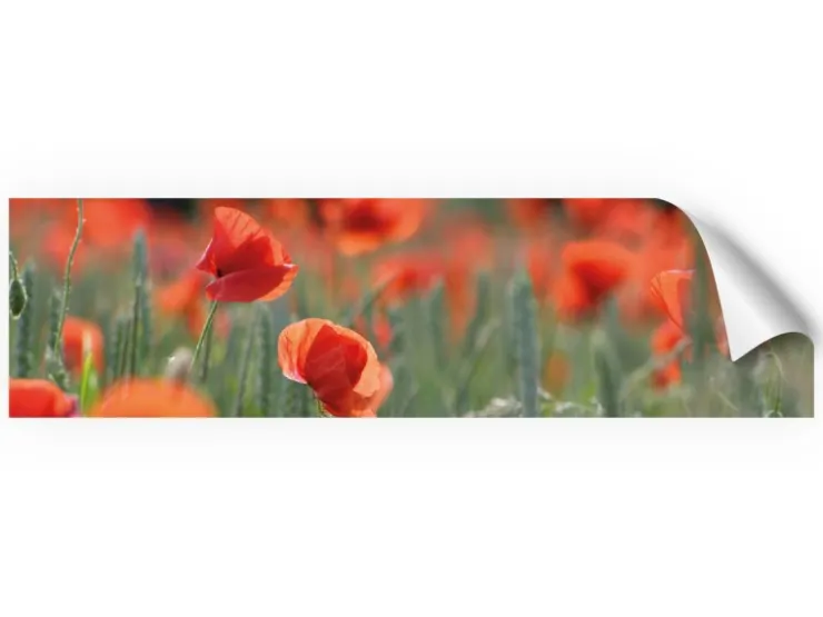 Myspotti Küchenrückwandfolie Mohn Selbstklebend 220 cm x 60 cm* Klebefolien