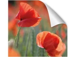 Myspotti Küchenrückwandfolie Mohn Selbstklebend 220 cm x 60 cm* Klebefolien