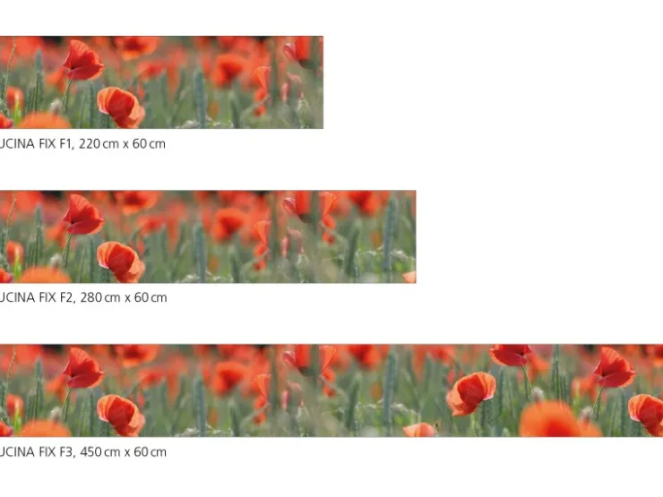 Myspotti Küchenrückwandfolie Mohn Selbstklebend 220 cm x 60 cm* Klebefolien