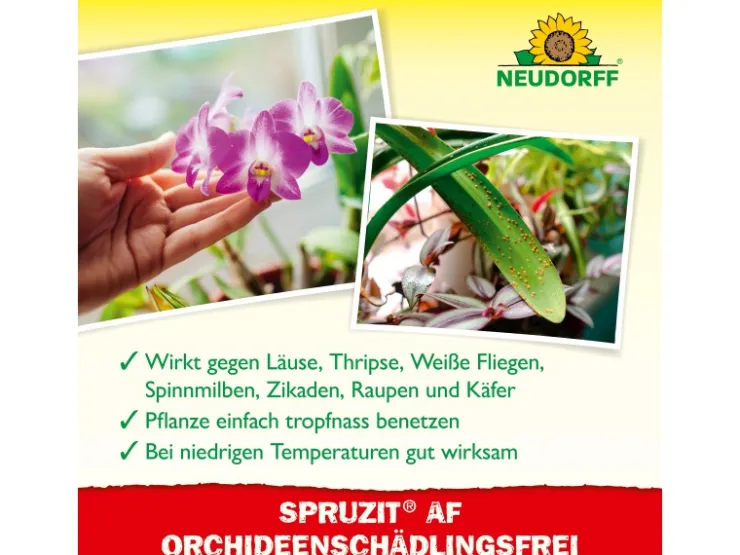 Neudorff Spruzit AF Orchideen Schädlingsfrei 250 ml* Insektenschutz