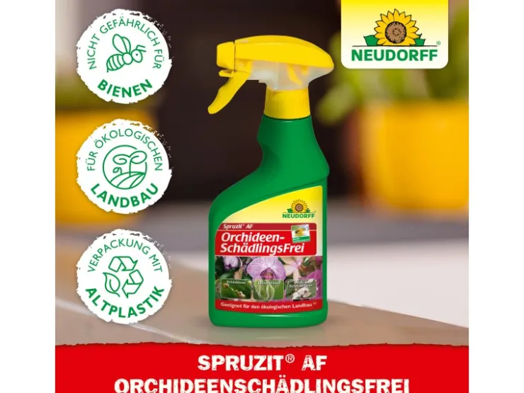 Neudorff Spruzit AF Orchideen Schädlingsfrei 250 ml* Insektenschutz