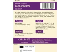 Pabst Keimkraft Sonnenblume Big Bear Saatgut* Vasen