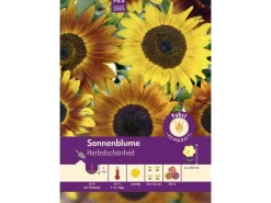 Pabst Keimkraft Sonnenblume Herbstschönheit Saatgut* Vasen