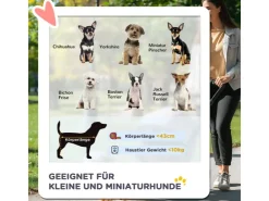 PawHut Hundebuggy für Kleine Hunde und Katzen