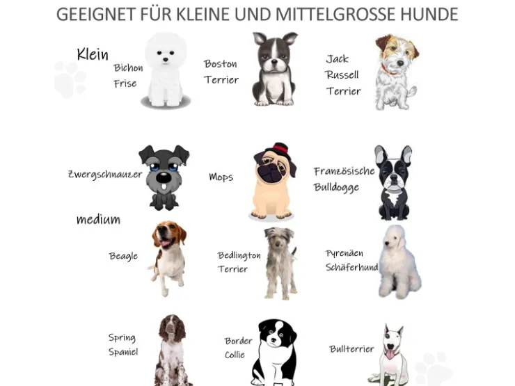 PawHut Türschutzgitter mit Fußstütze 432 x 36 x 70cm