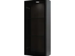 Pelipal Vitrinen-Wandschrank Quantum 05 Anthrazit 30 cm