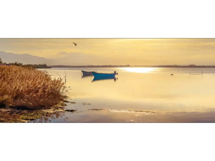 Pro Art Bild Canvas-Art Sunshine On The Lake II 80 cm x 30 cm* Bilder